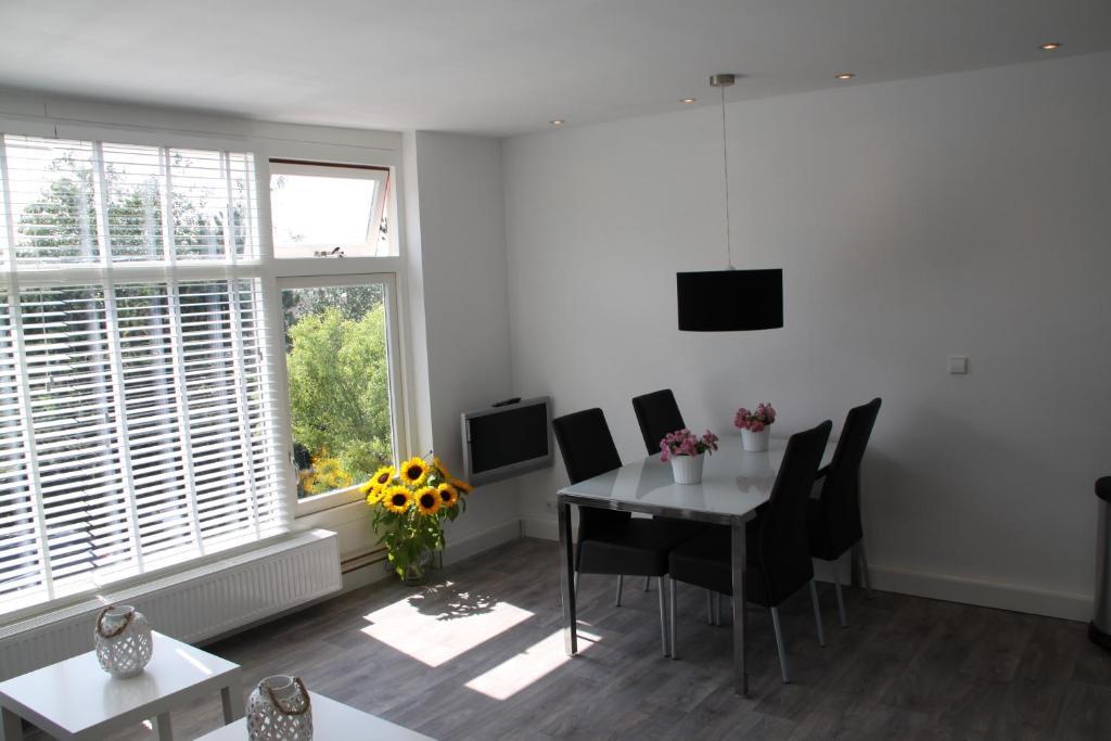 Appartement De Zeester Zandvoort Oda fotoğraf